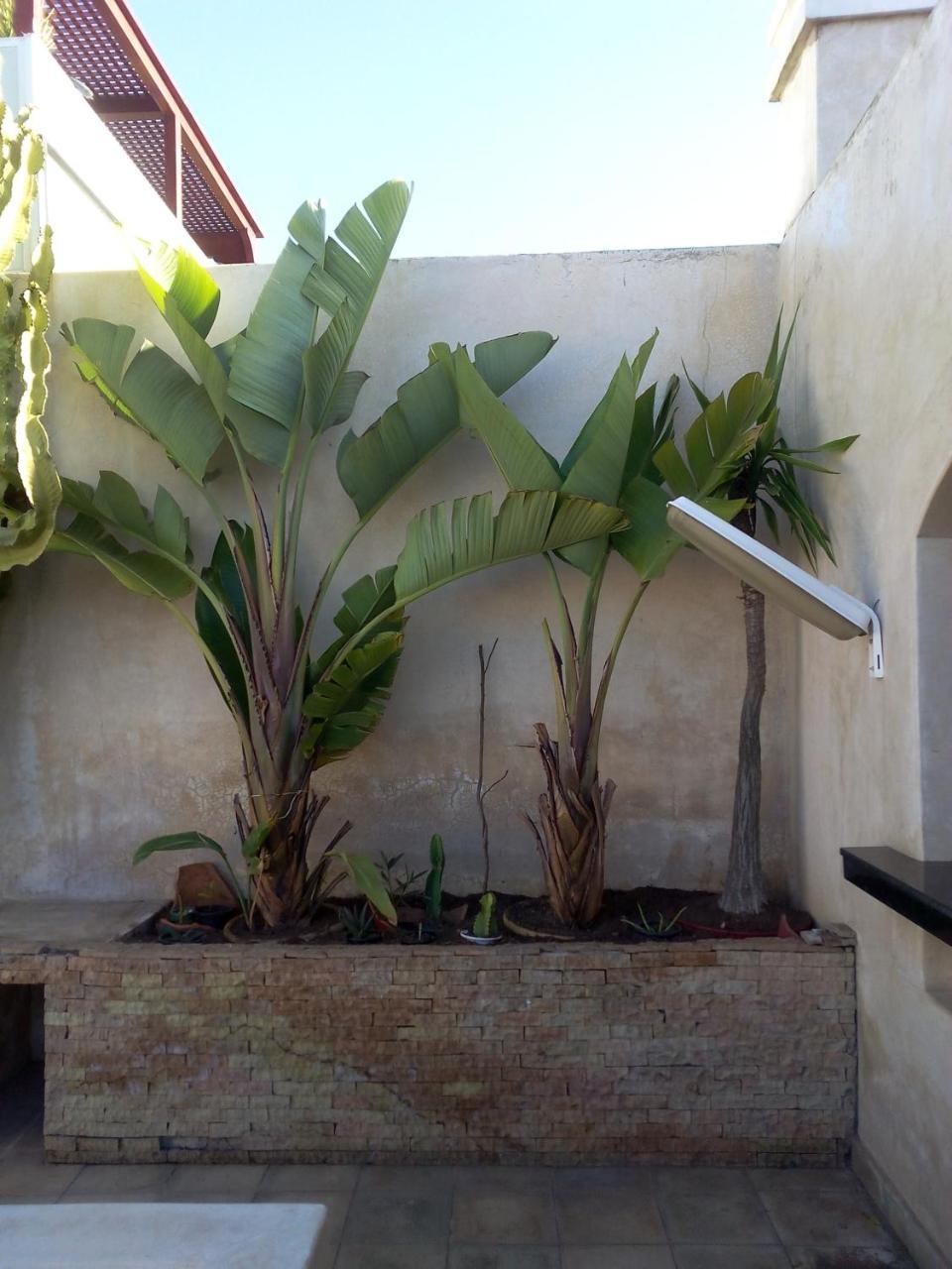 Riad La Villa & Spa El Jadida Exterior photo